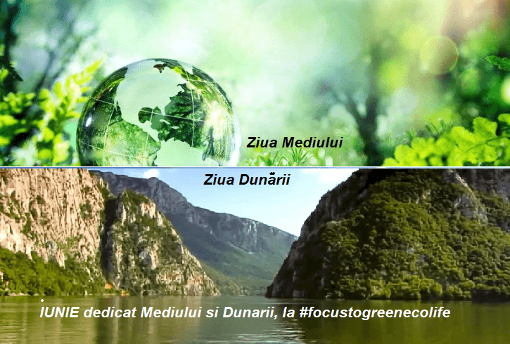 Apa şi Mediul ne ocrotestc; copiii răspund prin #focustogreenecolife Apa şi Mediul ne ocrotestc; copiii răspund prin #focustogreenecolife